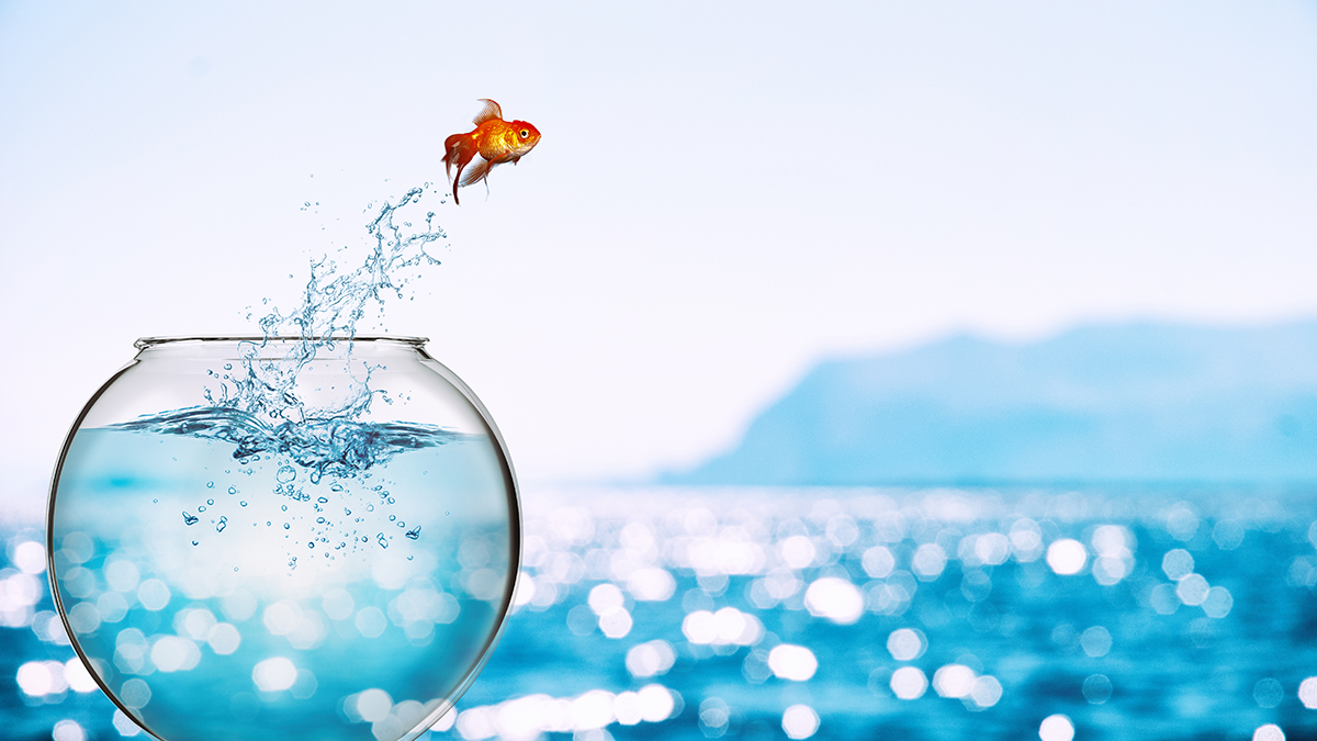 Andare Oltre Il Limite Di Tempo Stabilito Come superare i propri limiti: strategie e abitudini vincenti